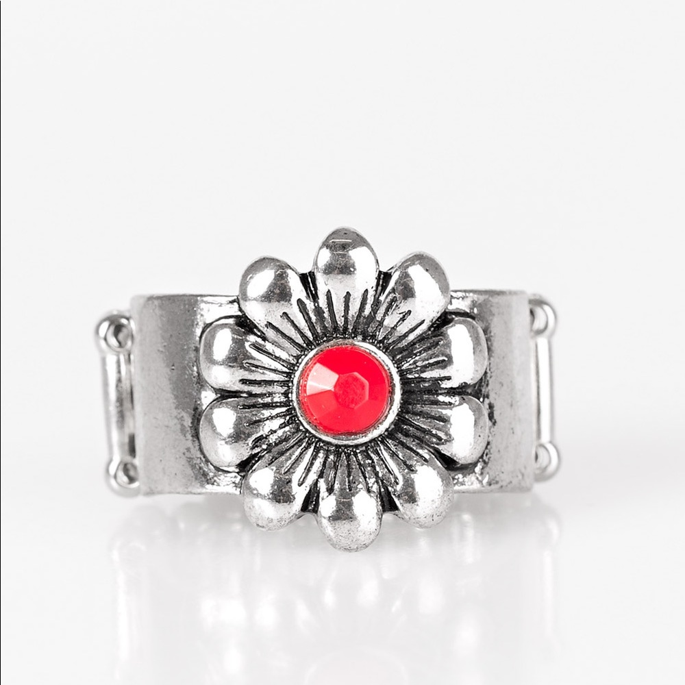 Paparazzi rings